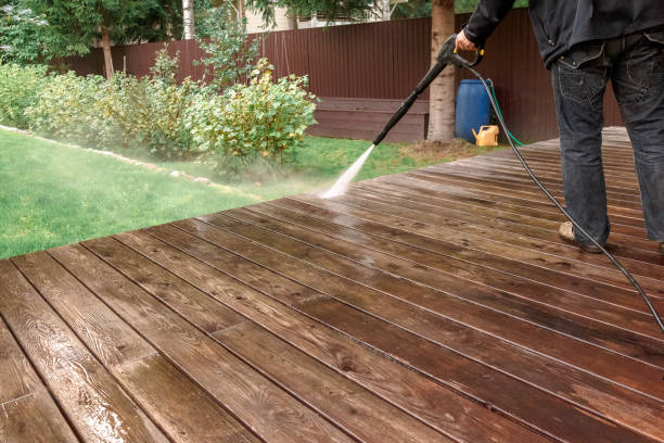 Best Roof Washing  in Parole, MD
