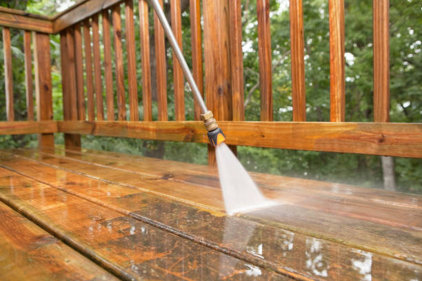 Best Patio and Deck Pressure Washing  in Parole, MD