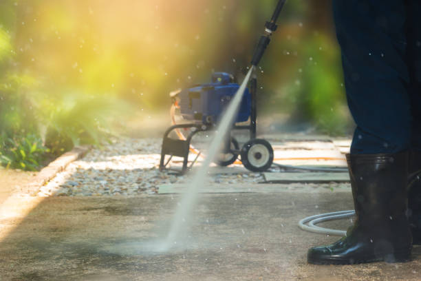 Best Driveway Pressure Washing  in Parole, MD